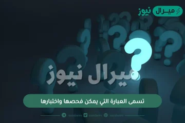 تسمى العبارة التي يمكن فحصها واختبارها