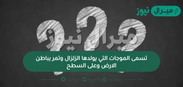 تسمى الموجات التي يولدها الزلزال وتمر بباطن الارض وعلى السطح