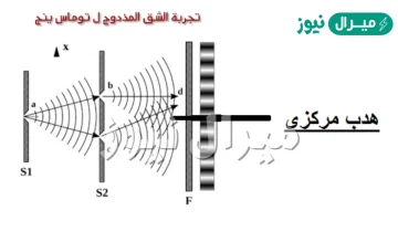 تقل شدة إضاءة الأهداب المضيئة كلما اقتربنا من الهدب المركزي