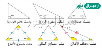 تمثل كل مجموعة من الأعداد التالية أطوال أضلاع مثلث، حدد المجموعة التي لا تنتمي للمجموعات الأخرى؟