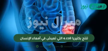 تنتج بكتيريا e.coli التي تعيش في أمعاء الإنسان