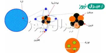 توجد الكترونات الذرة في ؟