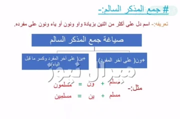 جمع المذكر السالم هو ما دل على اكثر من اثنين بزياده