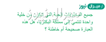 جميع المخلوقات الحية التي تتكون من خلية واحدة تنتمي إلى مملكة البكتريا هل هذه العبارة صحيحة أم خاطئة