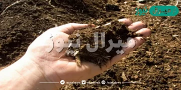 جميع انواع البكتيريا الموجوده في التربه تلحق الضرر بالنباتات