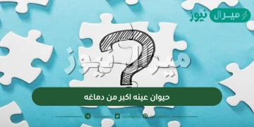 حيوان عينه اكبر من دماغه