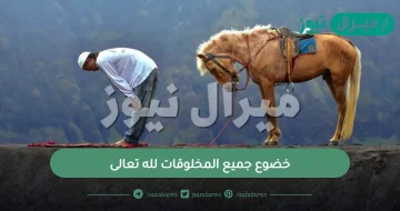 خضوع جميع المخلوقات لله تعالى