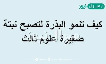 رتب الجمل توضح كيف تنمو البذره لتصبح نبته صغيره