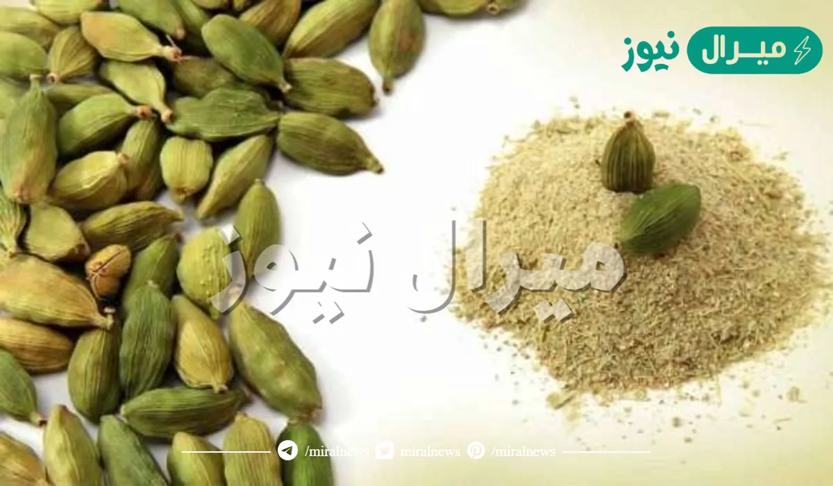 رجيم الحبهان أو الهيل الفتاك إنقاص الوزن بسرعة جنونية 20 كيلو في أسبوعين فقط لن تتخيل