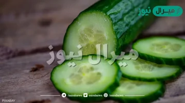 ريحة الخيار مصيبة في البيت.. إحذر من انتشار ريحة الخيار في المنزل فهي دليل على الخطر