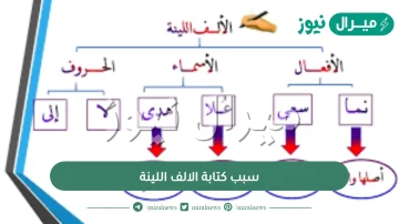 سبب كتابة الالف اللينة