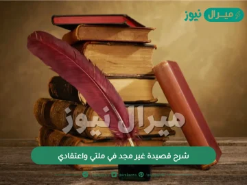 شرح قصيدة غير مجد في ملتي واعتقادي