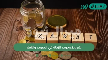 شروط وجوب الزكاة في الحبوب والثمار