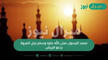 صعد الرسول صلى الله عليه وسلم جبل المروة يدعو قريش