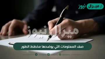 صف المعلومات التي يوضحها مخطط الطور