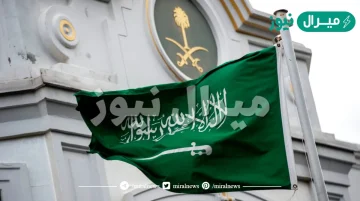 صف علم المملكة العربية السعودية