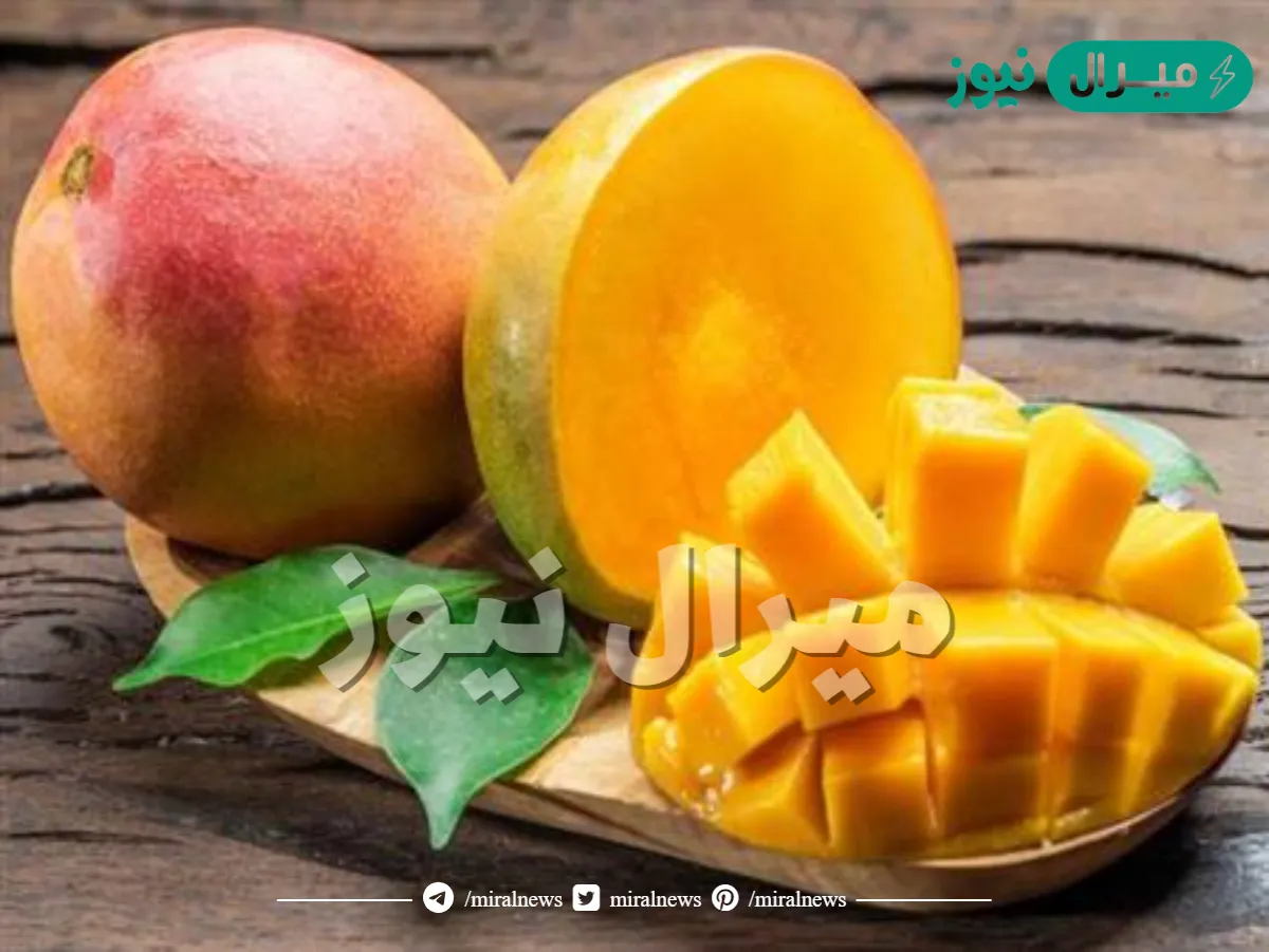 سم قاتل وخطير! .. ضاعت حياتنا بناكل المانجو بطريقه خاطئه وطبيبة تحذر من تناول المانجو في هذه الحالة