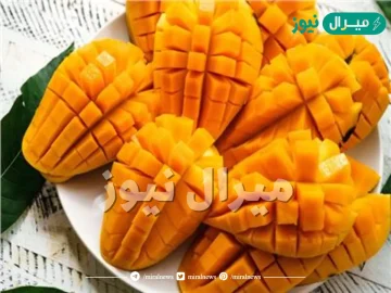 سم قاتل تسبب الموت.. طبيبة شهيرة تحذر من تناول المانجا بهذه الطريقة ياريتني عرفت من زمان
