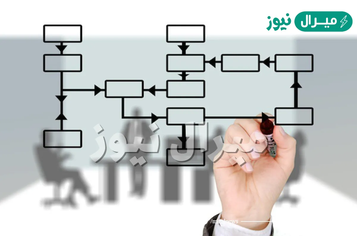 طرق التنظيم في الهيكل التنظيمي تعتمد على