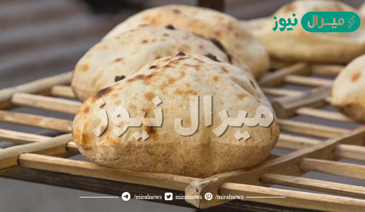 “إياكي تعملي كدا”.. خطأ شائع نرتكبه يوميًا في كل بيت عند تجميد الخبز في الفريزر- هقولك الطريقة الصح