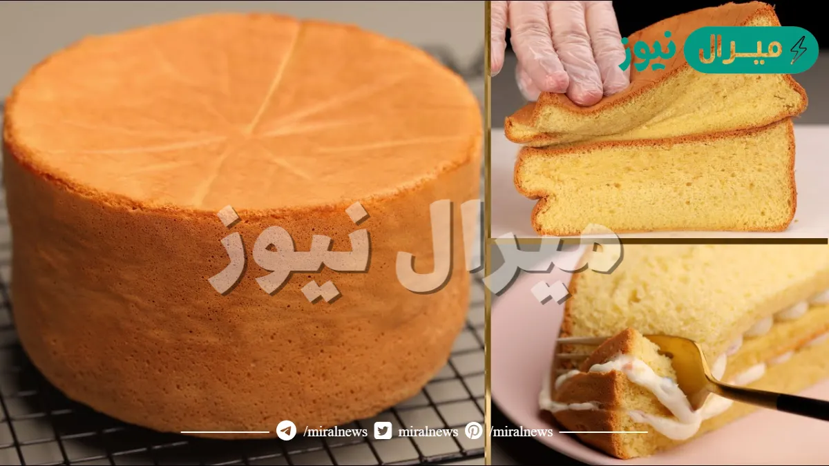 طريقة عمل الكيكة الإسفنجية بالمقادير والخطوات خطوة بخطوة سهلة وبسيطة