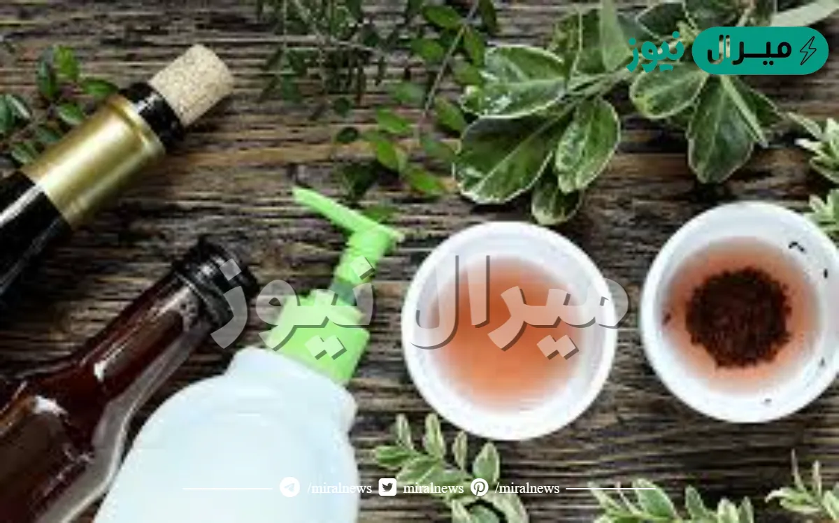 الخل حل سريع للناموس.. لاداعي للمبيدات بعد اليوم