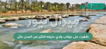 ظهرت على جوانب وادي حنيفه الكثير من المدن مثل