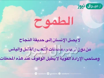 عبارات جميلة عن النجاح والطموح اجمل ما قيل