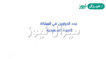 عدد الدواوين في السعودية