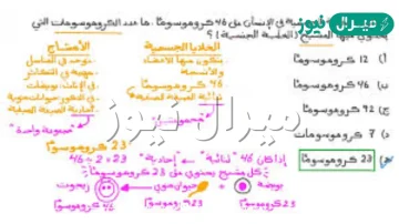 عدد الكروموسومات الموجوده في الخليه الجنسيه عند الانسان