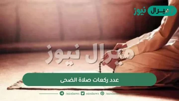 عدد ركعات صلاة الضحى