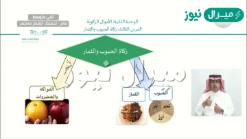 عدد شروط وجوب الزكاة في الحبوب والثمار