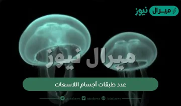 عدد طبقات أجسام اللاسعات