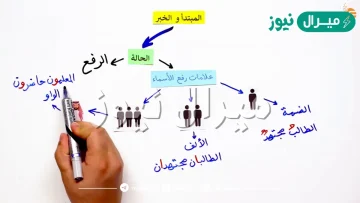 علامة الرفع الأصلية للمبتدأ والخبر