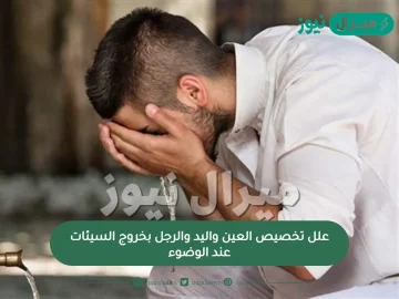 علل تخصيص العين واليد والرجل بخروج السيئات عند الوضوء