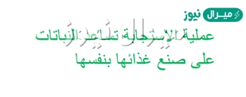 عملية الاستجابه تساعد النباتات على صنع غذائها بنفسها صح أو خطا