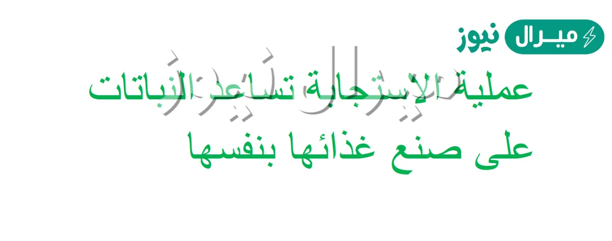 عملية الاستجابه تساعد النباتات على صنع غذائها بنفسها صح أو خطا