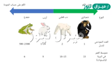 عندما يتكاثر مخلوق حي فانه ينتج