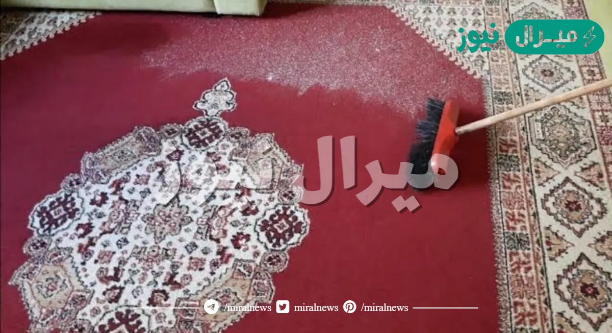 غسيل السجاد بدون ماء ولا تعب على الناشف بمكون واحد رهيب وسحرى فى دقائق