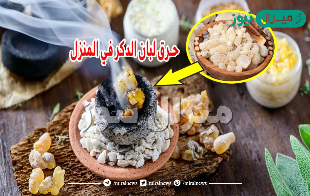 هل تعلم ماذا يحدث عند حرق 3 قطع من لبان الدكر يوميا في منزلك؟ لو عرفتم السر سوف سوف تتفاجؤون