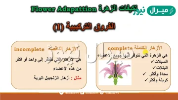 قارن بين الازهار الكاملة والناقصة