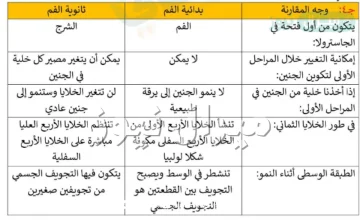 قارن بين البدائية الفم والثانوية الفم