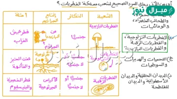 قارن بين الفطريات والفطريات الغروية