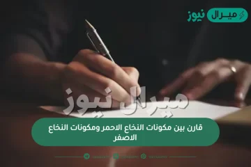 قارن بين مكونات النخاع الاحمر ومكونات النخاع الاصفر