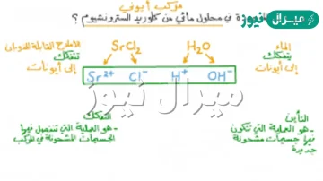 قارن عدد ايونات الهيدرونيوم بعدد ايونات الهيدروكسيد