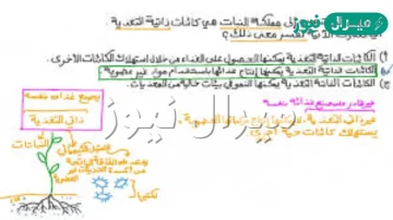 قد تتم التغذية الذاتية في غياب الضوء بواسطة