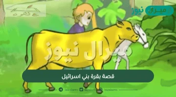 قصة بقرة بني اسرائيل