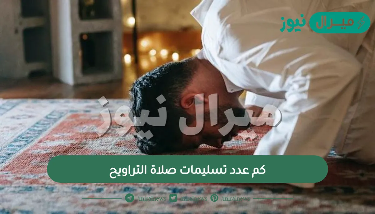 كم عدد تسليمات صلاة التراويح