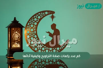 كم عدد ركعات صلاة التراويح وكيفية أدائها