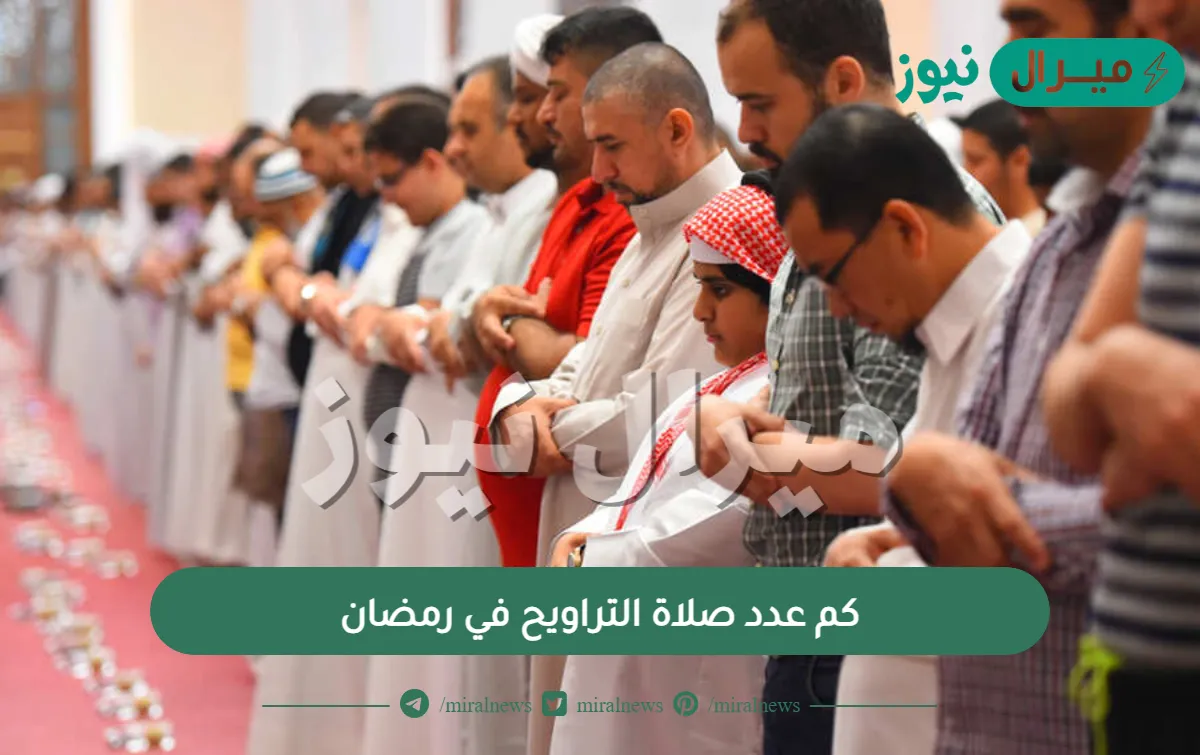 كم عدد صلاة التراويح في رمضان